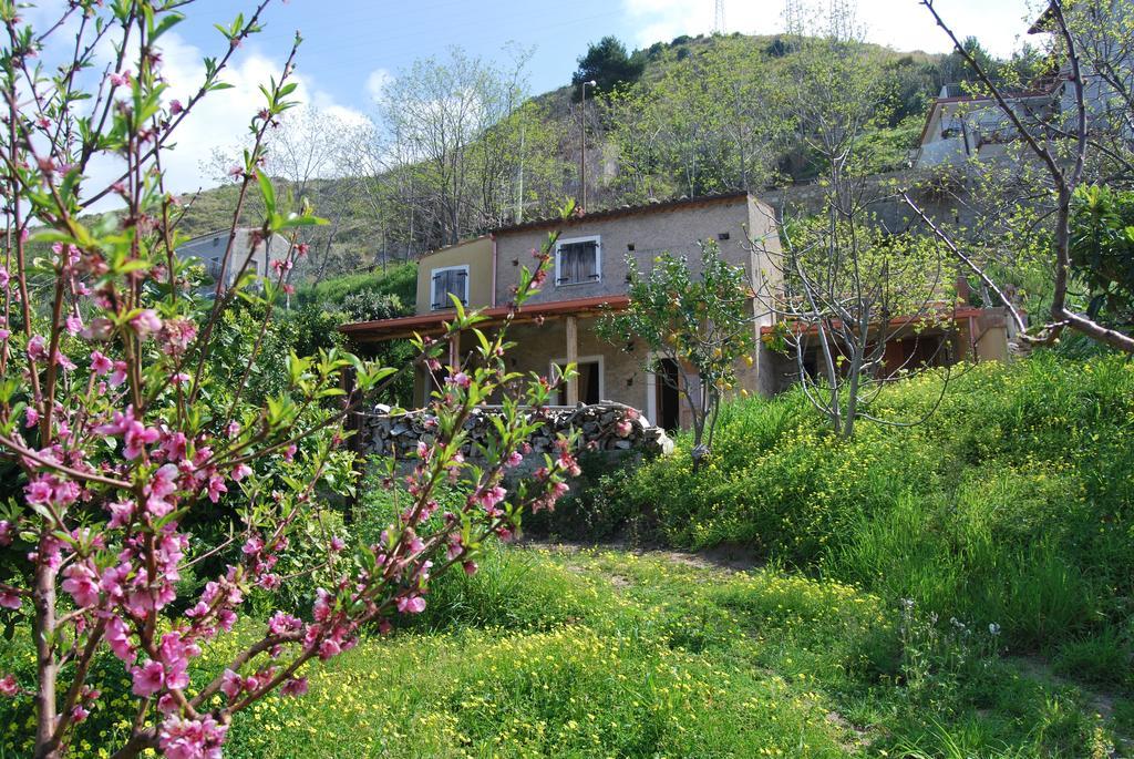 Al Melograno B&B 贝尔蒙特卡拉布罗 客房 照片